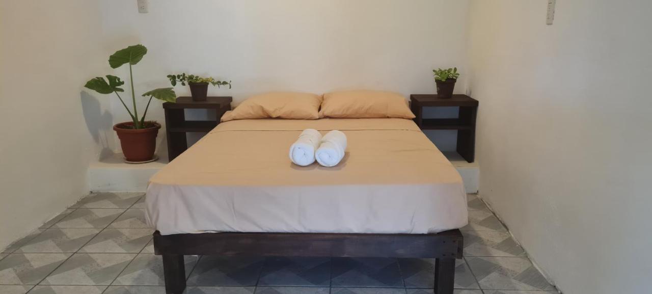 Casa Choco Hotel Mazunte Eksteriør billede