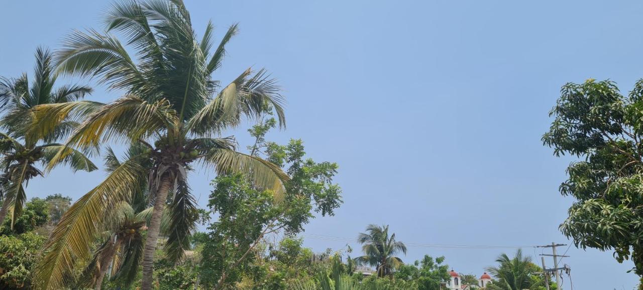 Casa Choco Hotel Mazunte Eksteriør billede