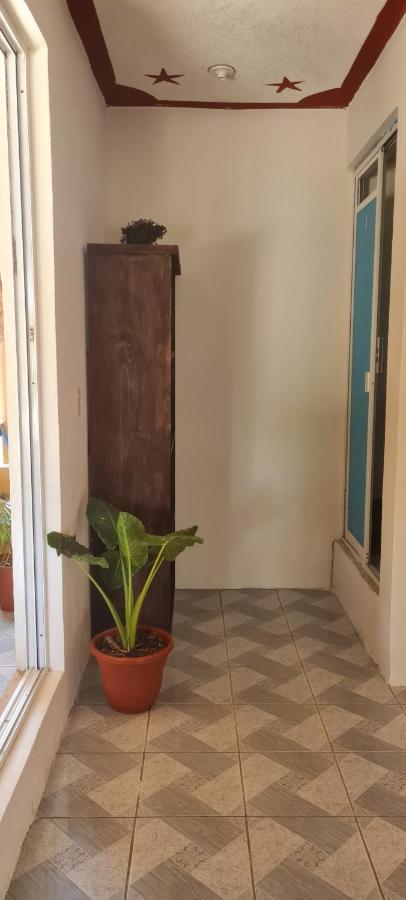 Casa Choco Hotel Mazunte Eksteriør billede