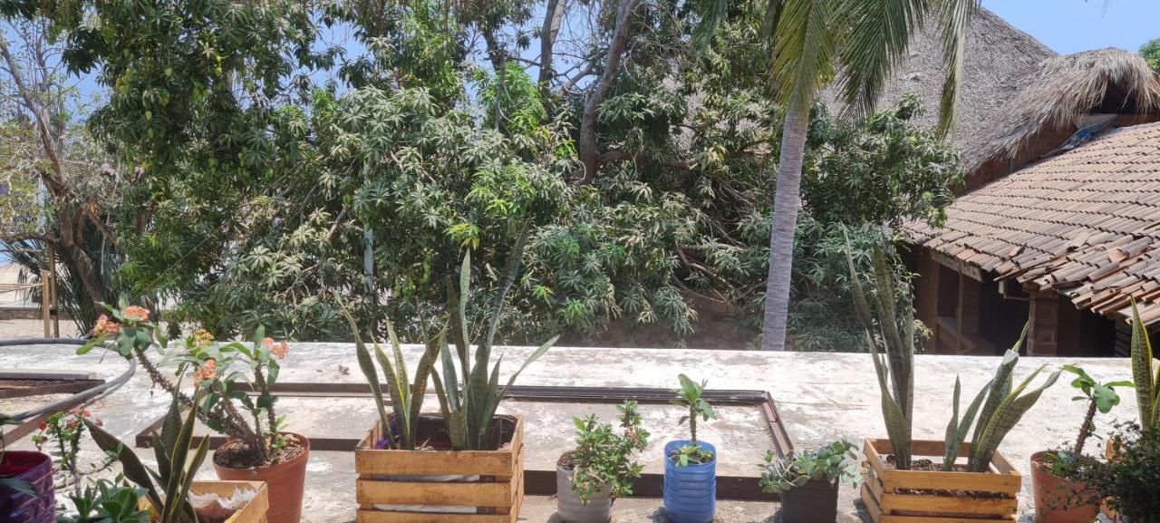 Casa Choco Hotel Mazunte Eksteriør billede
