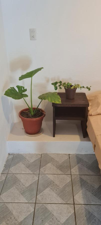 Casa Choco Hotel Mazunte Eksteriør billede